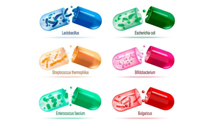probióticos